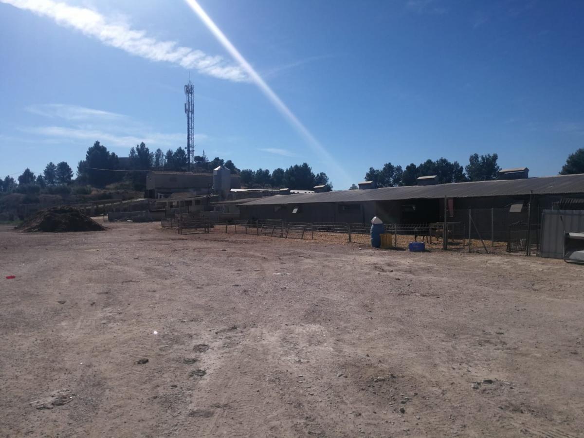 21-10-2019_IMG-20191021-WA0028 - copia.jpg